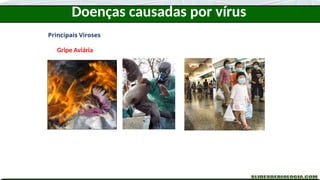 Doenças causadas por vírus
Principais Viroses
Gripe Aviária
 