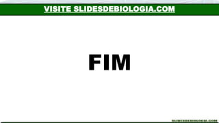 FIM
VISITE SLIDESDEBIOLOGIA.COM
 