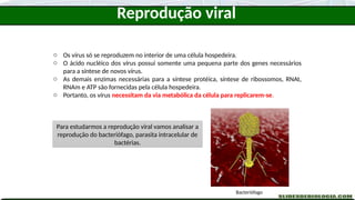 o Os vírus só se reproduzem no interior de uma célula hospedeira.
o O ácido nucléico dos vírus possui somente uma pequena parte dos genes necessários
para a síntese de novos vírus.
o As demais enzimas necessárias para a síntese protéica, síntese de ribossomos, RNAt,
RNAm e ATP são fornecidas pela célula hospedeira.
o Portanto, os vírus necessitam da via metabólica da célula para replicarem-se.
Para estudarmos a reprodução viral vamos analisar a
reprodução do bacteriófago, parasita intracelular de
bactérias.
Bacteriófago
Reprodução viral
 