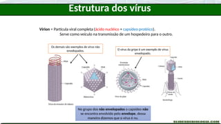 Slides sobre características gerais dos Vírus - Biologia para o Ensino ...