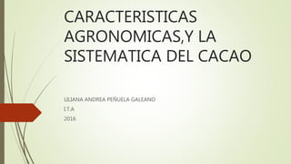 CARACTERISTICAS
AGRONOMICAS,Y LA
SISTEMATICA DEL CACAO
LILIANA ANDREA PEÑUELA GALEANO
I.T.A
2016
 