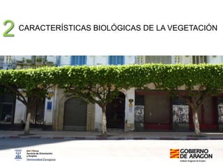 la vegetación en los proyectos de
arquitectura y urbanismo sostenible
2 CARACTERÍSTICAS BIOLÓGICAS DE LA VEGETACIÓN
 