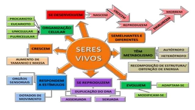 10 Características Dos Seres Vivos – UHIW