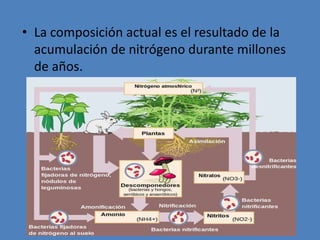 Estratosfera.
• La estratosfera es la capa de la
atmósfera que está sobre la
troposfera . Se extiende desde cerca
de 11 kilómetros hasta 50 kilómetros
de altitud.
• está dispuesta en capas más o menos
horizontales o estratos.
• A medida que se sube, la
temperatura aumenta. Este aumento
se debe a que los rayos ultravioleta
transforman el oxígeno en ozono.
• La ozonosfera es una parte de la
estratosfera. Se extiende
aproximadamente entre los 15 - 40
km de altitud y reúne el 90 % del
ozono presente en la atmósfera.
• El ozono actúa como filtro, o escudo
protector, de las radiaciones nocivas
que llegan a la Tierra
 