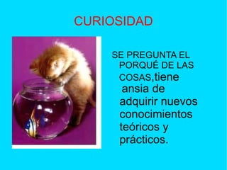 CURIOSIDAD
SE PREGUNTA EL
PORQUÉ DE LAS
COSAS,tiene
ansia de
adquirir nuevos
conocimientos
teóricos y
prácticos.
