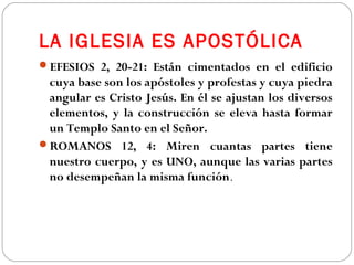 LA IGLESIA ES APOSTÓLICA
EFESIOS 2, 20-21: Están cimentados en el edificio
cuya base son los apóstoles y profestas y cuya piedra
angular es Cristo Jesús. En él se ajustan los diversos
elementos, y la construcción se eleva hasta formar
un Templo Santo en el Señor.
ROMANOS 12, 4: Miren cuantas partes tiene
nuestro cuerpo, y es UNO, aunque las varias partes
no desempeñan la misma función.
 