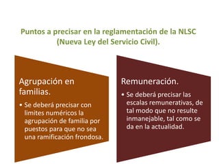 Puntos a precisar en la reglamentación de la NLSC
(Nueva Ley del Servicio Civil).
Agrupación en
familias.
• Se deberá precisar con
limites numéricos la
agrupación de familia por
puestos para que no sea
una ramificación frondosa.
Remuneración.
• Se deberá precisar las
escalas remunerativas, de
tal modo que no resulte
inmanejable, tal como se
da en la actualidad.
 