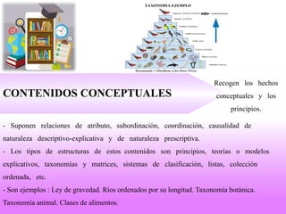 CONTENIDOS CONCEPTUALES
Recogen los hechos
conceptuales y los
principios.
- Suponen relaciones de atributo, subordinación, coordinación, causalidad de
naturaleza descriptivo-explicativa y de naturaleza prescriptiva.
- Los tipos de estructuras de estos contenidos son principios, teorías o modelos
explicativos, taxonomías y matrices, sistemas de clasificación, listas, colección
ordenada, etc.
- Son ejemplos : Ley de gravedad. Ríos ordenados por su longitud. Taxonomía botánica.
Taxonomía animal. Clases de alimentos.
 
