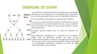 SÍNDROME DE DOWN
La condición de síndrome de Down se origina por un accidente
genético en el cromosoma 21 en el momento de la concepción
y se estima que puede afectar a uno de cada 800 nacimientos.
En la actualidad se desconoce la causa de este accidente.
Lo que si se puede afirmar de manera concluyente es que no
es hereditaria ni una enfermedad como tal, es una condición
que se presenta en todas las razas, grupos étnicos y clases
socioeconómicas.

Cualquier persona podría tener un hijo con síndrome de
Down.
Esta alteración cromosómica va a ocasionar que se presente
algún nivel de deficiencia mental, así como ciertas
complicaciones medicas, motrices y de lenguaje entre otra. Es
por eso que contar con una buena atención medica adecuada
y una apropiada estimulación temprana se vuelve de vital
importancia para estas personas.

 