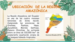 Caracteristicas de la región amazónica | PPTX