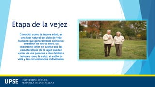 CARACTERISTICAS DE LAS DIFERENTES ETAPAS - GRUPO 2.pptx