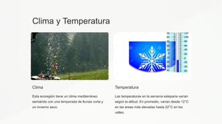 Clima y Temperatura
Clima
Esta ecoregión tiene un clima mediterráneo
semiárido con una temporada de lluvias corta y
un invierno seco.
Temperatura
Las temperaturas en la serranía esteparia varían
según la altitud. En promedio, varían desde 12°C
en las áreas más elevadas hasta 22°C en los
valles.
 