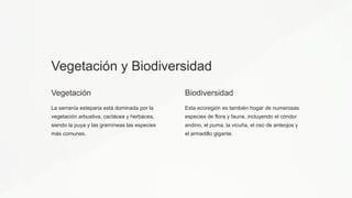Vegetación y Biodiversidad
Vegetación
La serranía esteparia está dominada por la
vegetación arbustiva, cactácea y herbácea,
siendo la puya y las gramíneas las especies
más comunes.
Biodiversidad
Esta ecoregión es también hogar de numerosas
especies de flora y fauna, incluyendo el cóndor
andino, el puma, la vicuña, el oso de anteojos y
el armadillo gigante.
 