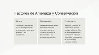 Factores de Amenaza y Conservación
Minería
La minería a gran escala
es una de las principales
amenazas para la serranía
esteparia y sus
ecosistemas.
Deforestación
La tala de bosques nativos
también supone una
amenaza importante,
poniendo en peligro la
biodiversidad y los
ecosistemas naturales.
Conservación
Recientes iniciativas de
conservación buscan
proteger la biodiversidad
de la serranía esteparia,
promoviendo prácticas
sostenibles, preservación
de los bosques y
educación pública.
 
