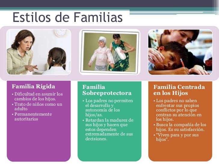 caracteristicas de la familia caracteristicas de la familia