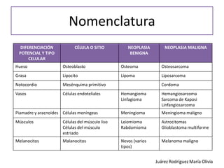 Caracteristicas de las neoplasias benignas y malignas