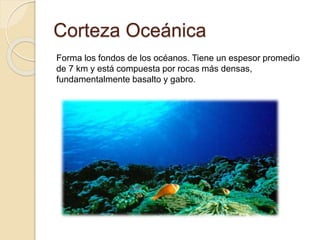 Corteza Oceánica
Forma los fondos de los océanos. Tiene un espesor promedio
de 7 km y está compuesta por rocas más densas,
fundamentalmente basalto y gabro.
 