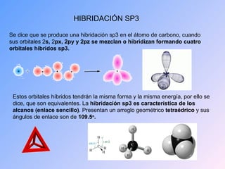 HIBRIDACIÓN SP3 Se dice que se produce una hibridación sp3 en el átomo de carbono, cuando sus orbitales 2 s,  2 px, 2py y 2pz se mezclan o hibridizan formando cuatro orbitales híbridos sp3. Estos orbitales híbridos tendrán la misma forma y la misma energía, por ello se dice, que son equivalentes. La  hibridación sp3 es característica de los alcanos (enlace sencillo) . Presentan un arreglo geométrico  tetraédrico  y sus ángulos de enlace son de  109.5 o . 