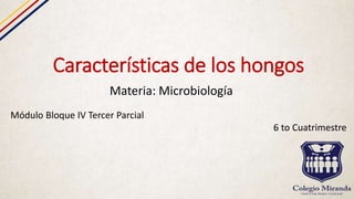 Características de los hongos
Materia: Microbiología
Módulo Bloque IV Tercer Parcial
6 to Cuatrimestre
 