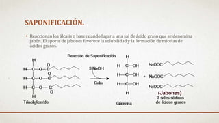 SAPONIFICACIÓN.
• Reaccionan los álcalis o bases dando lugar a una sal de ácido graso que se denomina
jabón. El aporte de jabones favorece la solubilidad y la formación de micelas de
ácidos grasos.