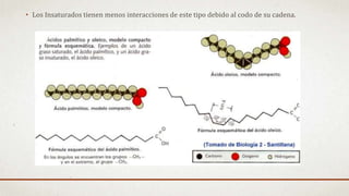 • Los Insaturados tienen menos interacciones de este tipo debido al codo de su cadena.