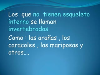 Caracteristicas De Los Animales