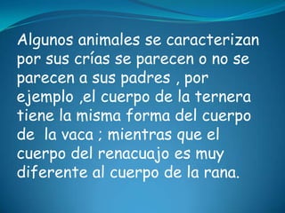 Caracteristicas De Los Animales