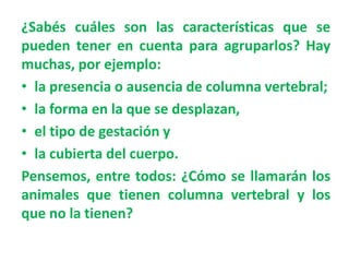 ¿Sabés cuáles son las características que se
pueden tener en cuenta para agruparlos? Hay
muchas, por ejemplo:
• la presencia o ausencia de columna vertebral;
• la forma en la que se desplazan,
• el tipo de gestación y
• la cubierta del cuerpo.
Pensemos, entre todos: ¿Cómo se llamarán los
animales que tienen columna vertebral y los
que no la tienen?
 