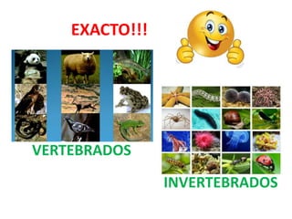 EXACTO!!!
VERTEBRADOS
INVERTEBRADOS
 