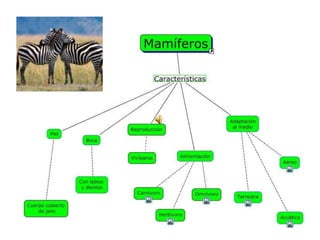 Caracteristicas de los mamíferos