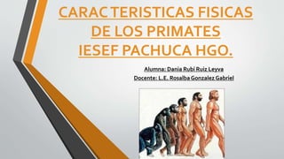 CARACTERISTICAS FISICAS
DE LOS PRIMATES
IESEF PACHUCA HGO.
Alumna: Dania Rubí Ruiz Leyva
Docente: L.E. Rosalba Gonzalez Gabriel
 