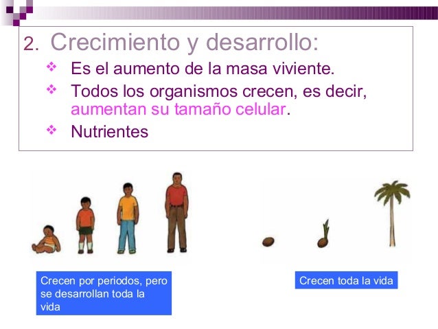 Características de los seres vivos