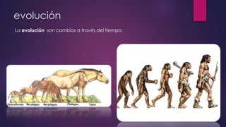 evolución
La evolución son cambios a través del tiempo.
 