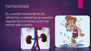 homeóstasis
Es cuando mediante la de
alimentos y vitaminas se pueden
regular las funciones que hay
dentro del cuerpo
 