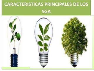 CARACTERISTICAS PRINCIPALES DE LOS
SGA
 