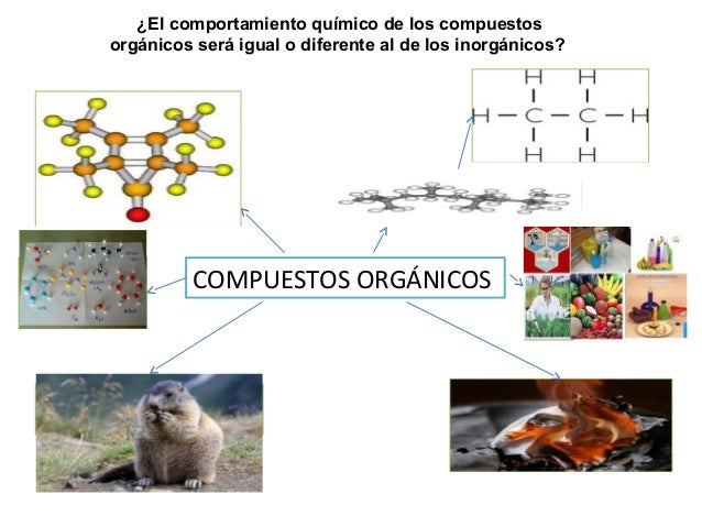 Caracteristicas de sustancias organicas e