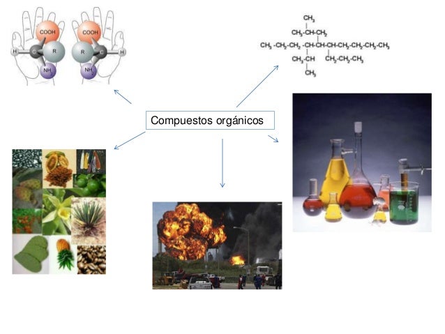 Caracteristicas de sustancias organicas e