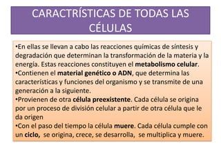 CARACTRÍSTICAS DE TODAS LAS
              CÉLULAS
•En ellas se llevan a cabo las reacciones químicas de síntesis y
degradación que determinan la transformación de la materia y la
energía. Estas reacciones constituyen el metabolismo celular.
•Contienen el material genético o ADN, que determina las
características y funciones del organismo y se transmite de una
generación a la siguiente.
•Provienen de otra célula preexistente. Cada célula se origina
por un proceso de división celular a partir de otra célula que le
da origen
•Con el paso del tiempo la célula muere. Cada célula cumple con
un ciclo, se origina, crece, se desarrolla, se multiplica y muere.
 