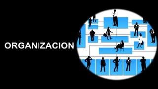 ORGANIZACION
 