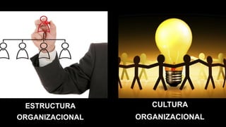 ESTRUCTURA
ORGANIZACIONAL
CULTURA
ORGANIZACIONAL
 