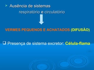    Ausência de sistemas
         respiratório e circulatório



 VERMES PEQUENOS E ACHATADOS (DIFUSÃO)


 Presença de sistema excretor: Célula-flama
 