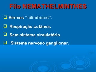 Filo NEMATHELMINTHES
 Vermes “cilíndricos”.

 Respiração cutânea.
 Sem sistema circulatório
 Sistema nervoso ganglionar.
 