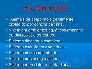 Filo MOLLUSCA
 Animais de corpo mole geralmente
  protegido por concha calcária.
 Vivem em ambientes aquáticos (marinho
  ou dulcícola) e terrestres.
 Sistema digestório completo.
 Sistema excretor por nefrideos.
 Sistema circulatório aberto.
 Sistema nervoso ganglionar.
 Sistema reprodutor maioria dióico
 