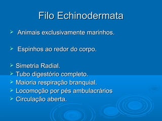 Filo Echinodermata
   Animais exclusivamente marinhos.

   Espinhos ao redor do corpo.

   Simetria Radial.
   Tubo digestório completo.
   Maioria respiração branquial.
   Locomoção por pés ambulacrários
   Circulação aberta.
 