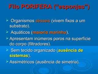 Filo PORIFERA (“esponjas”)

  Organismos sésseis (vivem fixos a um
  substrato).
 Aquáticos (maioria marinha).
 Apresentam inúmeros poros na superfície
  do corpo (filtradores).
 Sem tecido organizado (ausência de
  sistemas).
 Assimétricos (ausência de simetria).
 