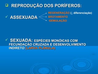    REPRODUÇÃO DOS PORÍFEROS:
                      REGENERAÇÃO (↓ diferenciação)
   ASSEXUADA         BROTAMENTO
                      GEMULAÇÃO




   SEXUADA: ESPÉCIES MONÓICAS COM
    FECUNDAÇÃO CRUZADA E DESENVOLVIMENTO
    INDIRETO (LARVA PLÂNULA)
 