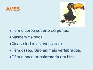 AVES
●Têm o corpo coberto de penas.
●Nascem de ovos.
●Quase todas as aves voam.
●Têm ossos. São animais vertebrados.
●Têm a boca transformada em bico.
 