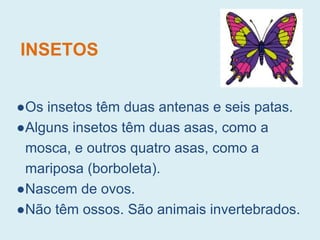 INSETOS
●Os insetos têm duas antenas e seis patas.
●Alguns insetos têm duas asas, como a
mosca, e outros quatro asas, como a
mariposa (borboleta).
●Nascem de ovos.
●Não têm ossos. São animais invertebrados.
 