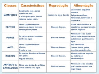 Classes Características Reprodução Alimentação
MAMÍFEROS
Geralmente, têm o corpo
coberto de pêlo.
A maior parte anda, outros
nadam e outros voam.
Nascem no útero da mãe.
Quando são pequenos
mamam.
Existem mamíferos
herbívoros, carnívoros e
omnívoros.
RÉPTEIS
Têm o corpo coberto de
escamas e alguns têm uma
carapaça com placas.
Nascem de ovos.
Todos são carnívoros e
caçadores, às vezes também
comem vegetais.
PEIXES
Os peixes vivem e respiram
dentro da água.
Nascem de ovos.
Alimentam-se de outros
peixes mais pequenos ou de
substâncias que flutuam na
água.
AVES
Têm o corpo coberto de
plumas.
A maioria voa.
Nascem de ovos.
São omnívoros.
Comem folhas, grãos,
insectos, caracóis, etc..
INSETOS
Os insetos têm duas antenas e
seis patas.
Alguns têm asas.
Nascem de ovos.
Alimentam-se de vegetais,
ou matéria em
decomposição.
ANFÍBIOS ou
BATRÁQUIOS
Têm a pele úmida. Os anfíbios
vivem na terra e na água.
Nascem de ovos.
Alimentam-se de insectos
que capturam com a sua
larga língua.
 