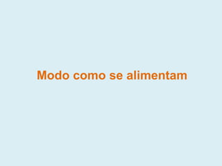 Modo como se alimentam
 